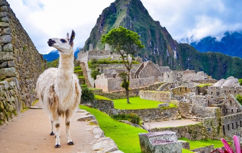 Machu Picchu by Train 1 Day